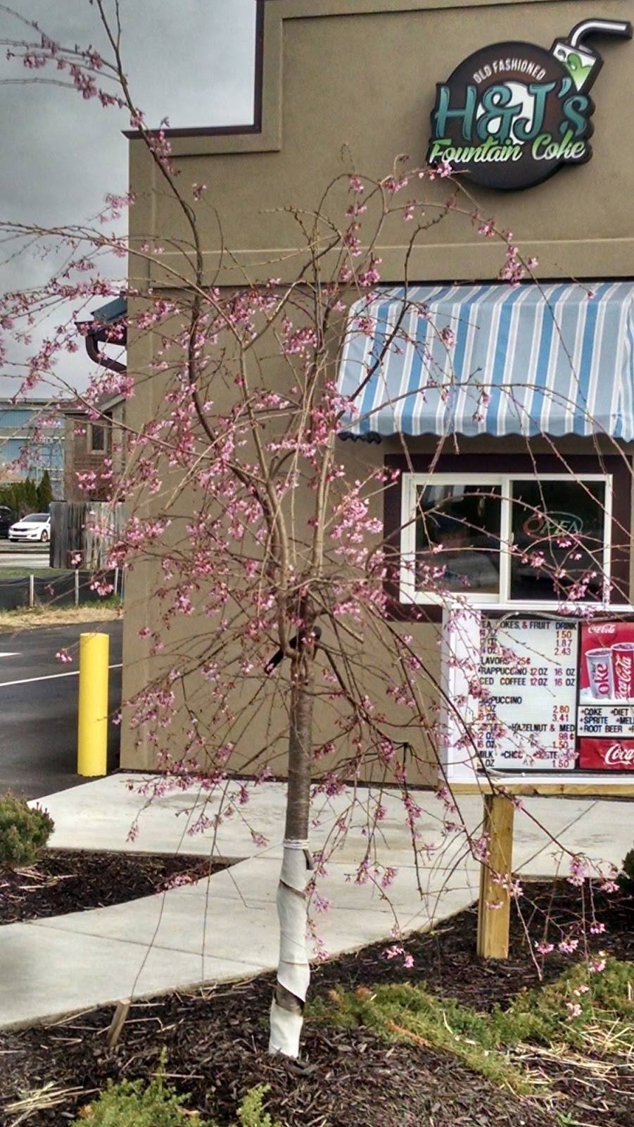 H&Js OLD FASHIONED FOUNTAIN DRINKS | restaurant | 1940 W Blvd St, Kokomo, IN 46902, USA | 7654506119 OR +1 765-450-6119