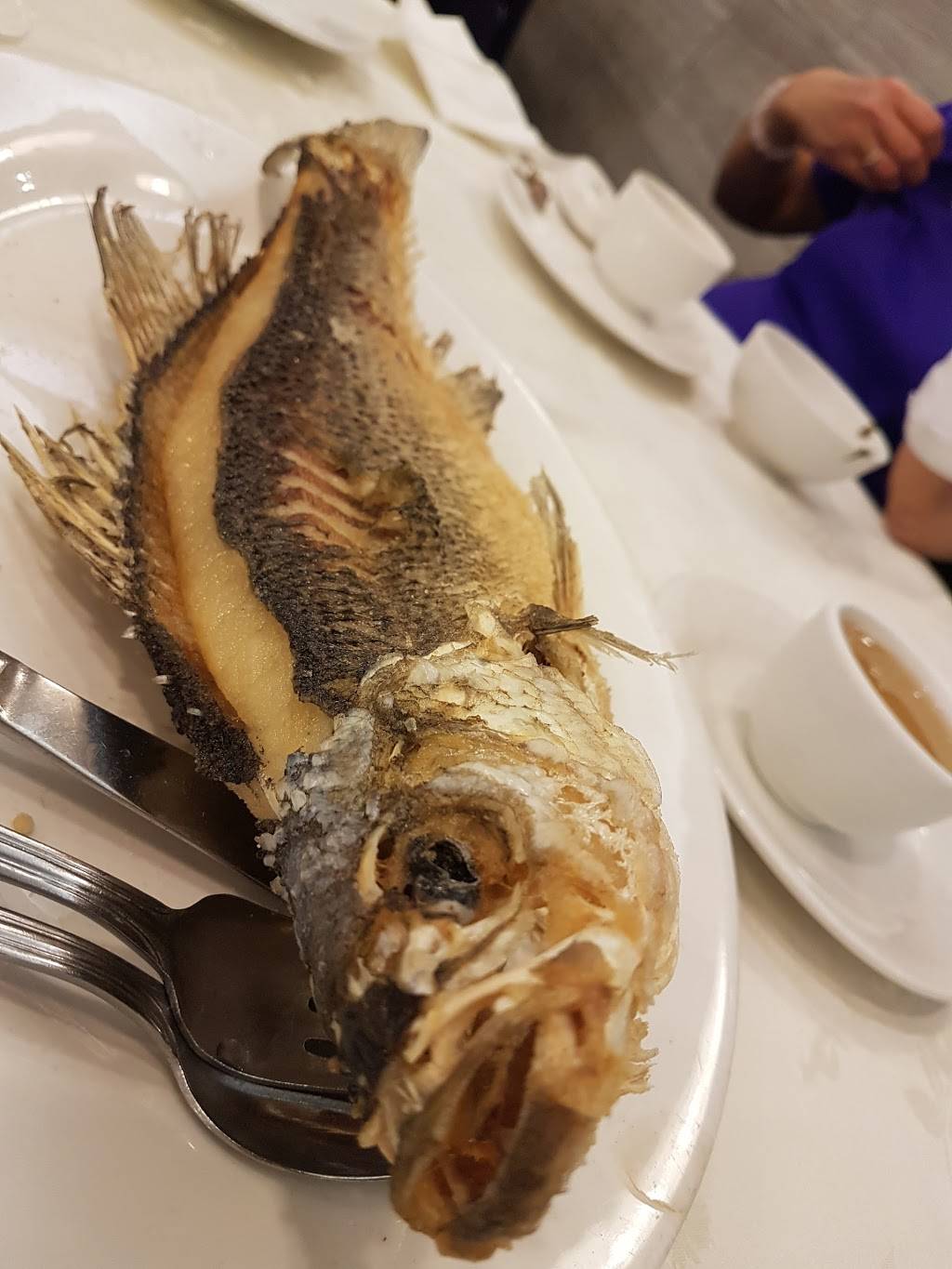 Sun Star Chinese Cuisine | restaurant | 636 Finch Ave E, North York, ON M2K 2H7, Canada | 4162290866 OR +1 416-229-0866