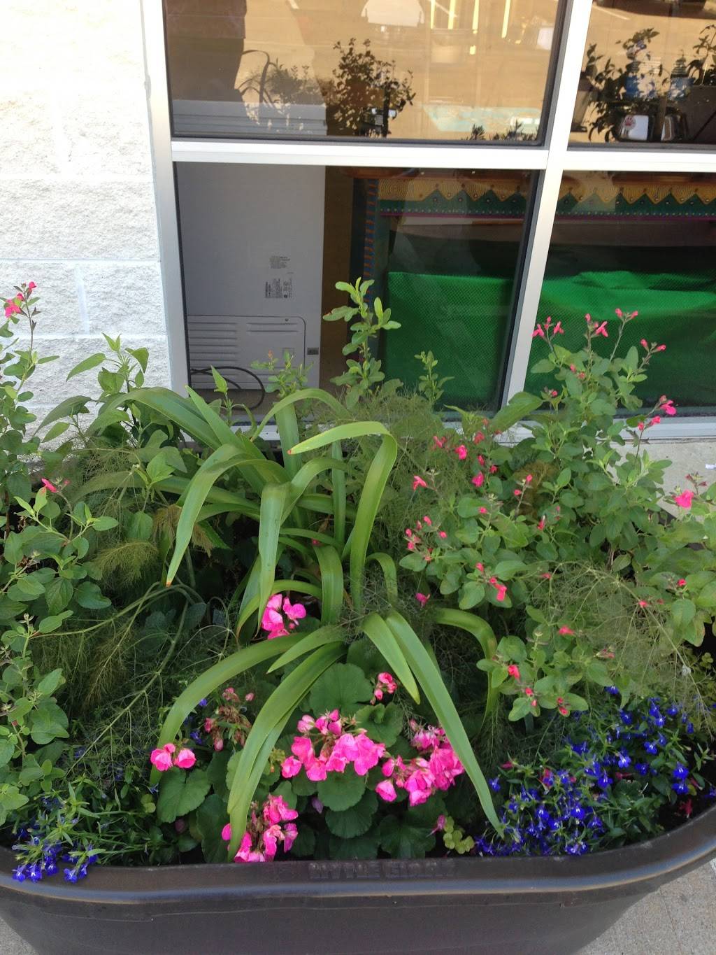 Bones2Go! | restaurant | 8805 Jones Rd #B101, Jersey Village, TX 77065, USA | 2818978000 OR +1 281-897-8000