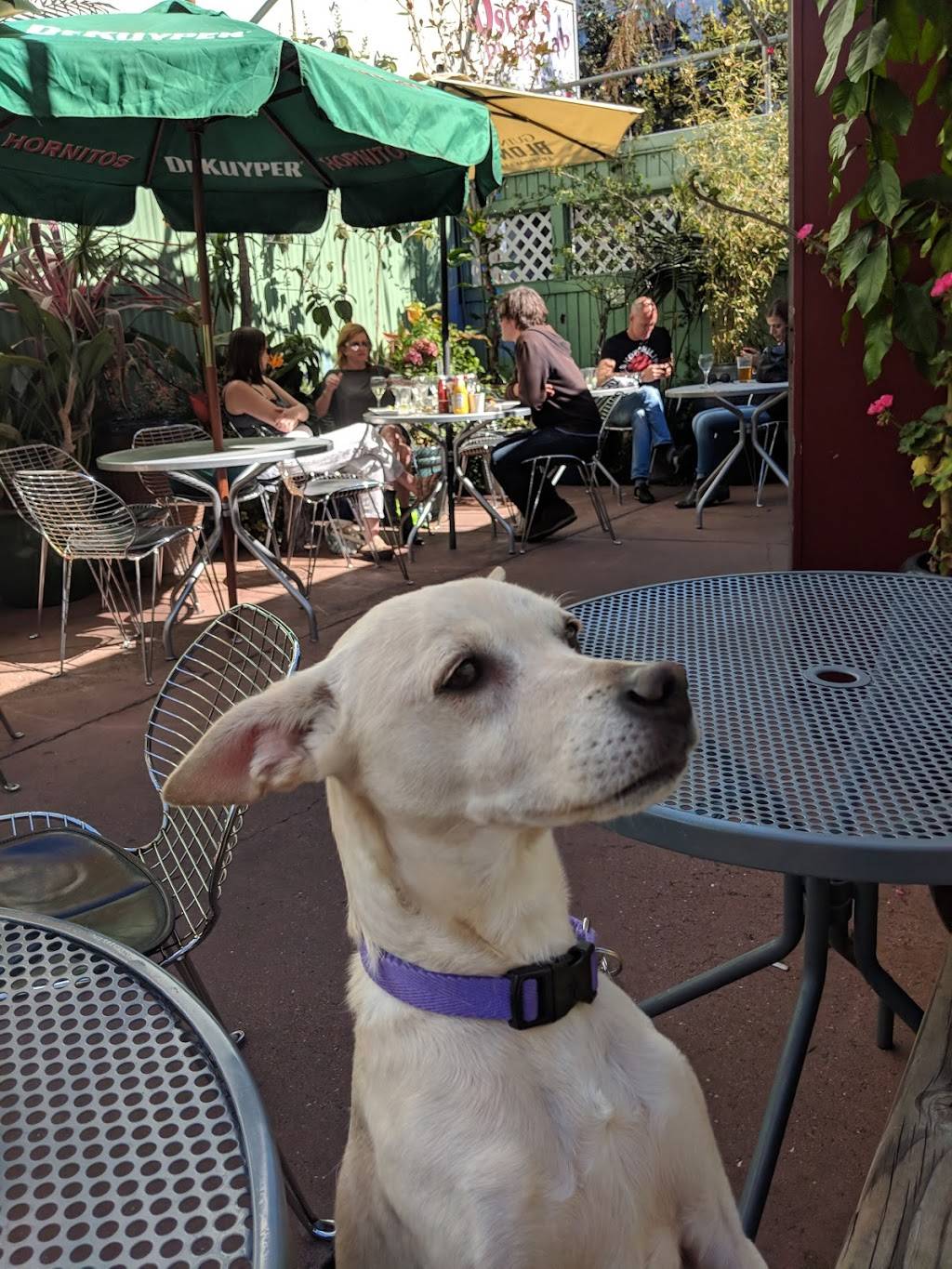 Mars Bar & Restaurant | restaurant | 798 Brannan St, San Francisco, CA 94103, USA | 4156216277 OR +1 415-621-6277