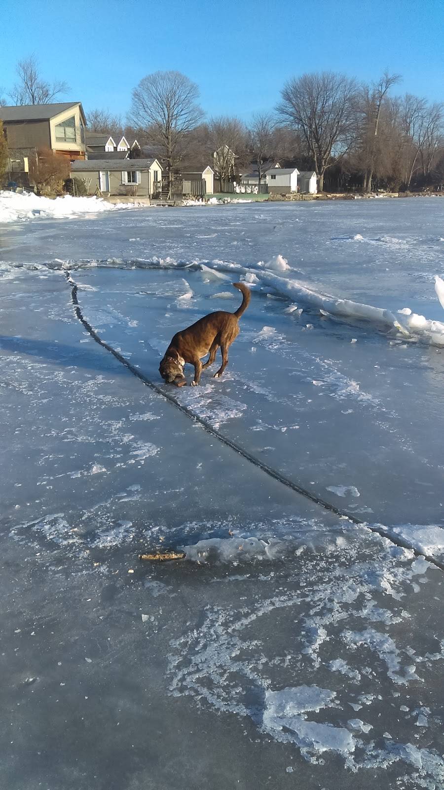 Monto-Reno Marina | restaurant | 1111 Killarney Beach Rd, Lefroy, ON L0L 1W0, Canada | 7054562122 OR +1 705-456-2122