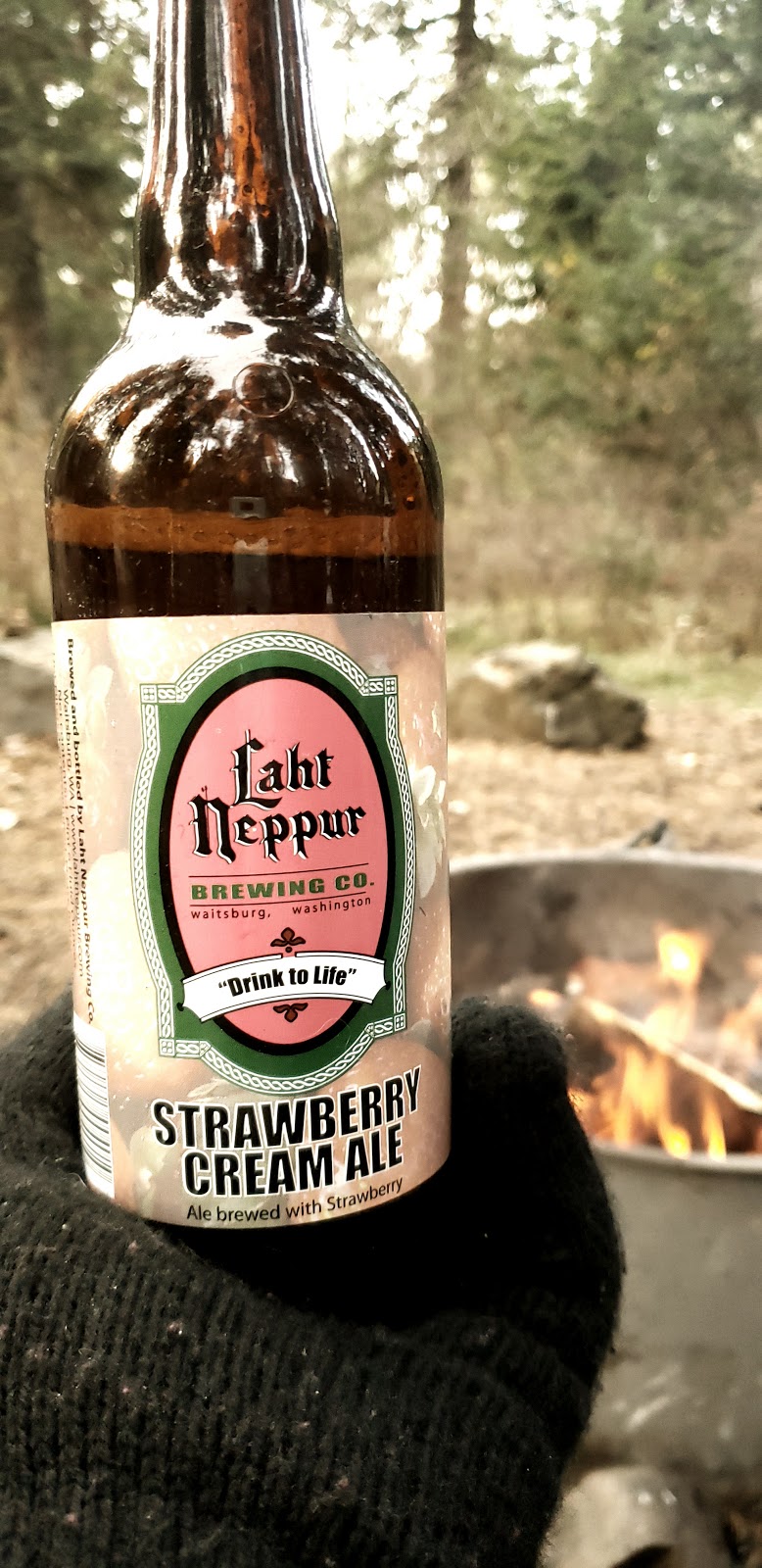 Laht Neppur Brewing Co | restaurant | 444 Preston Ave, Waitsburg, WA 99361, USA | 5093376261 OR +1 509-337-6261