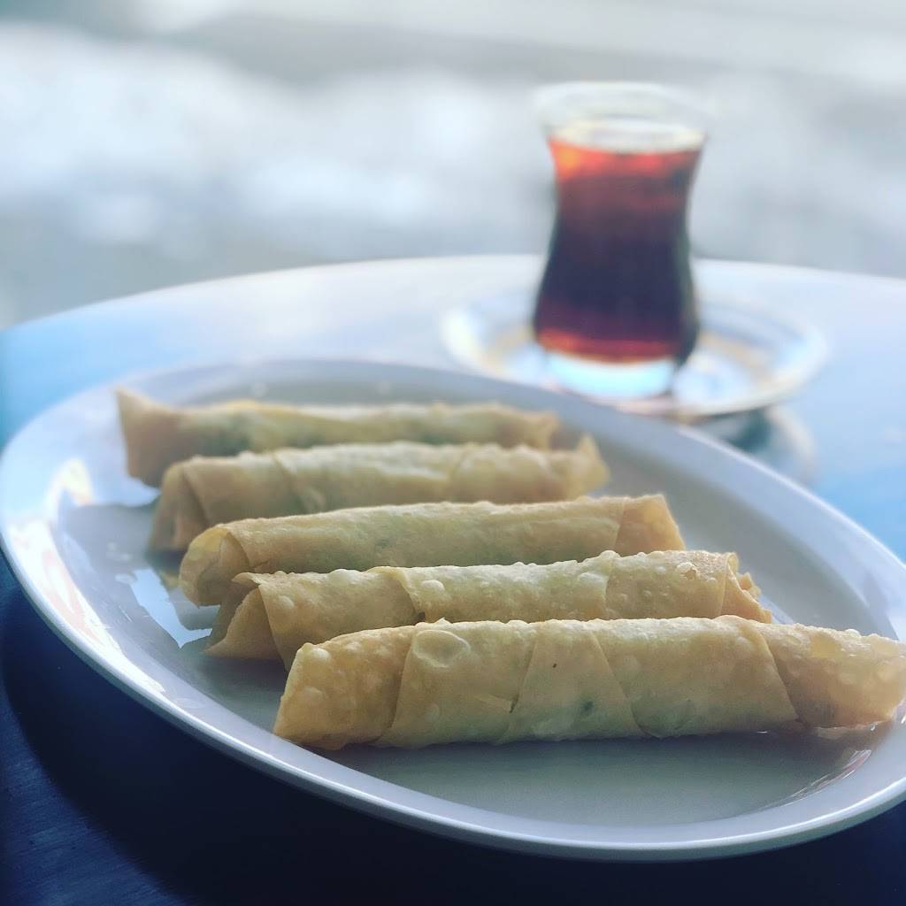 Gyro & Kebab House | restaurant | 1056 Great Plain Ave, Needham, MA 02492, USA | 7814448000 OR +1 781-444-8000