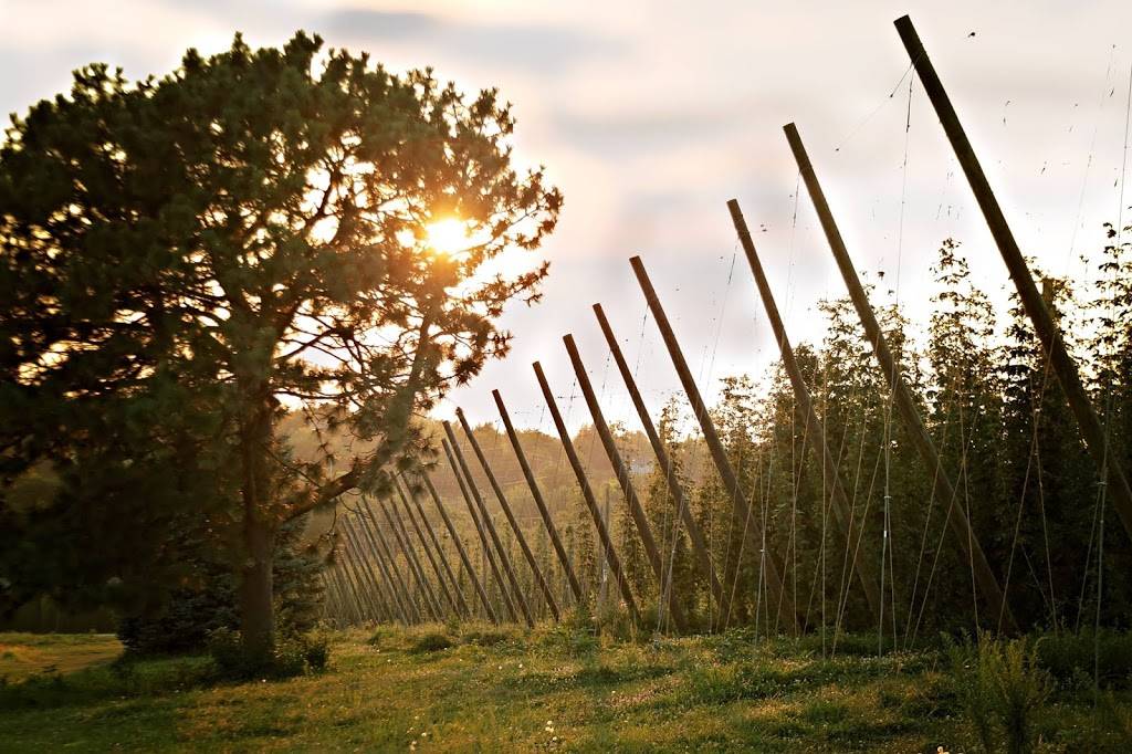 The Hop Yard | restaurant | 18003 Club View Dr, Plattsmouth, NE 68048, USA | 4022960633 OR +1 402-296-0633