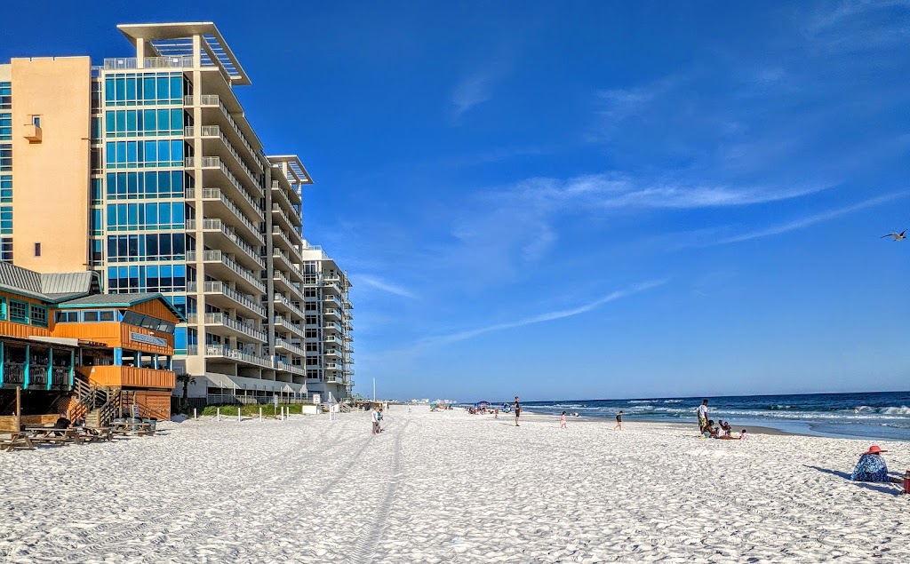 The Back Porch | restaurant | 1740 Scenic Hwy 98, Destin, FL 32541, USA | 8508372022 OR +1 850-837-2022