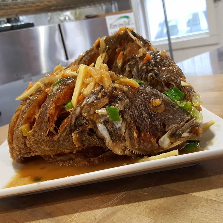 Angkor Wat Restaurant | restaurant | 61 Pleasant St, Woodstock, VT 05091, USA | 8024579029 OR +1 802-457-9029