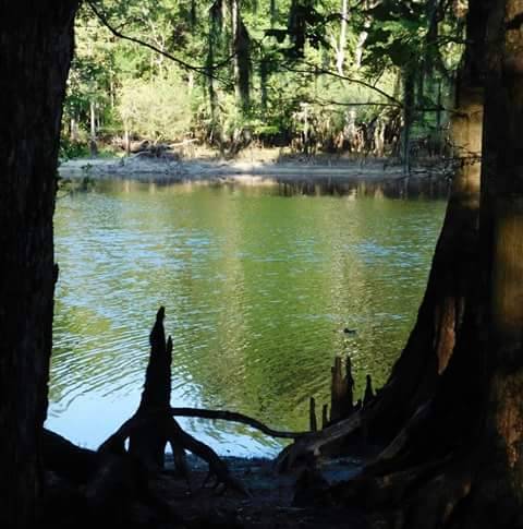 Bills Korner | restaurant | 801 S 1st Ave, Dillon, SC 29536, USA | 8437748022 OR +1 843-774-8022