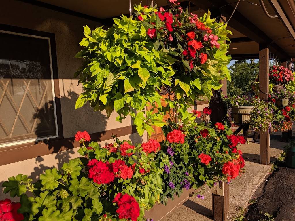 Chippewa Inn | restaurant | 9702 Co Rd B, Hayward, WI 54843, USA | 7154623648 OR +1 715-462-3648