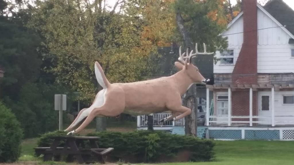 Northwoods Supper Club | restaurant | N14066 Flambeau Ave, Fifield, WI 54524, USA | 7157624447 OR +1 715-762-4447