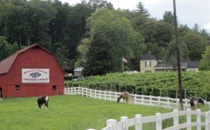 South Creek Winery | restaurant | 2240 S Creek Rd, Nebo, NC 28761, USA | 8286525729 OR +1 828-652-5729