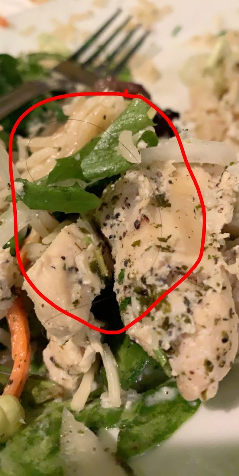 Al Layali Restaurant and Café | meal delivery | 980 N La Cienega Blvd, Los Angeles, CA 90069, USA | 3103600400 OR +1 310-360-0400