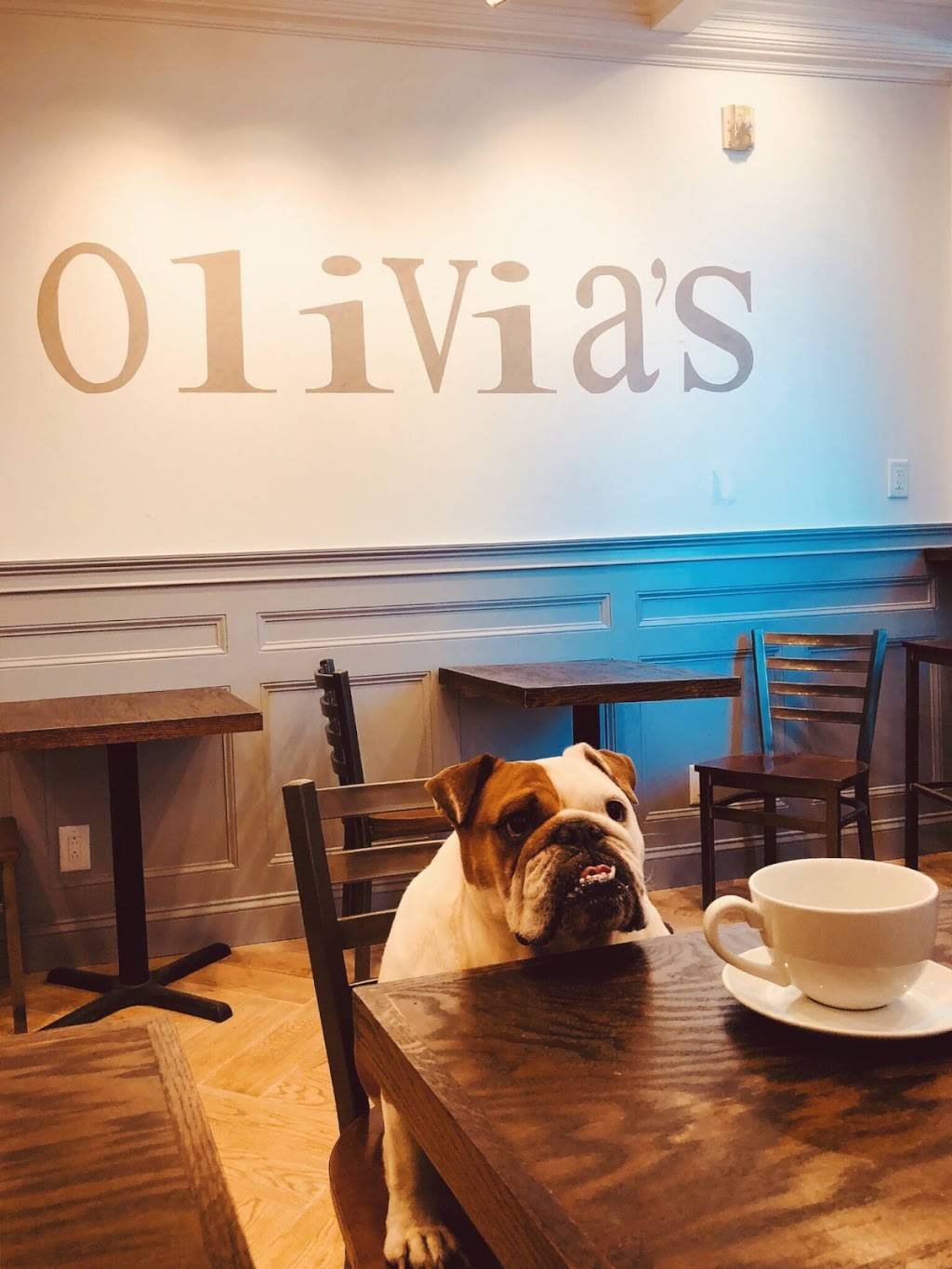 Olivia’s Cafe | restaurant | 643 McLean Ave, Yonkers, NY 10705, USA | 9149682600 OR +1 914-968-2600