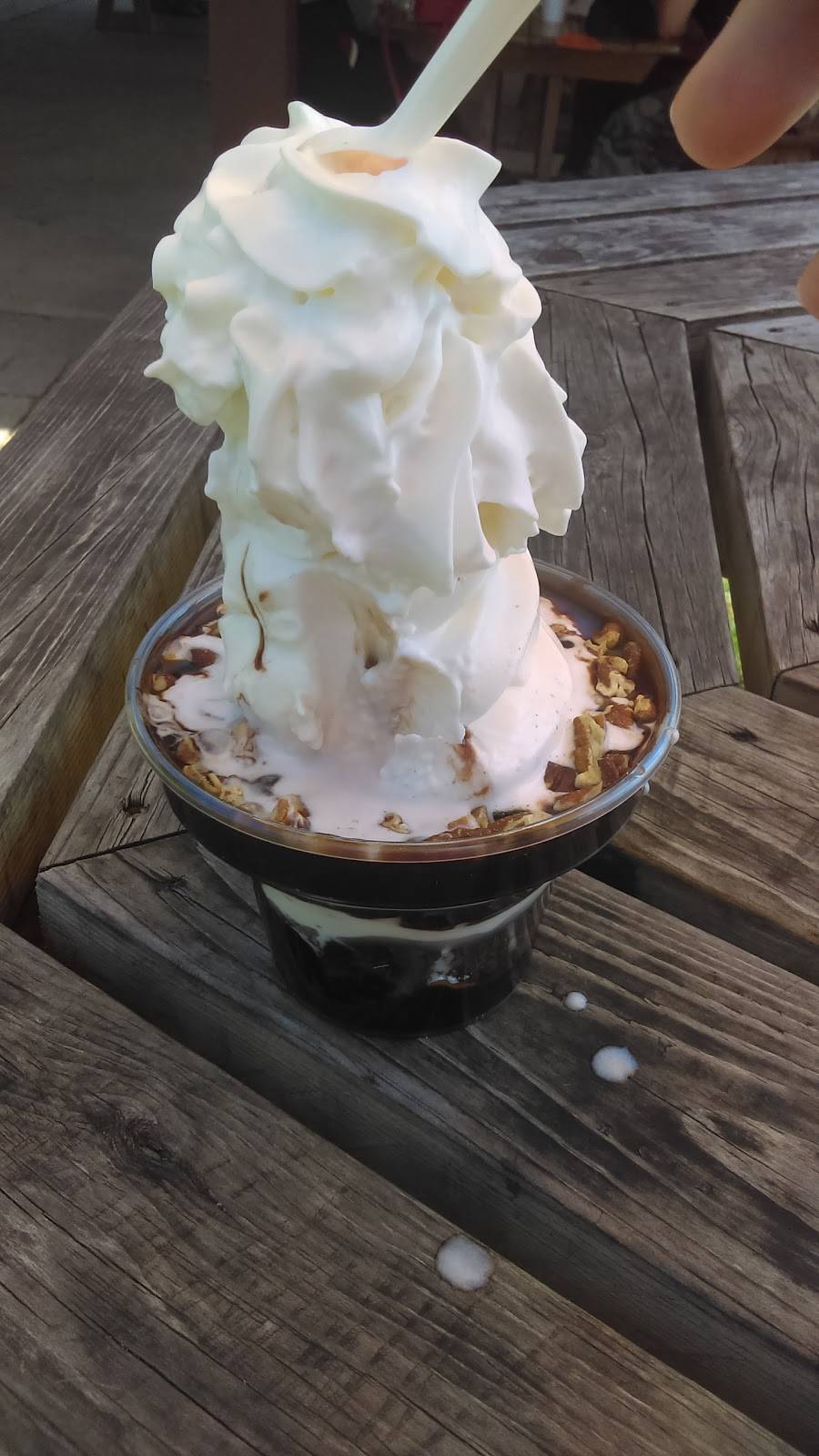 Albatross Drive-In | restaurant | 777 Main Rd, Washington, WI 54246, USA | 9208472203 OR +1 920-847-2203