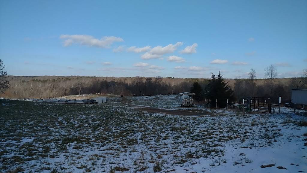 Sunset Ridge Buffalo Farm | restaurant | 465 Yarborough Rd, Roxboro, NC 27574, USA | 3365991297 OR +1 336-599-1297