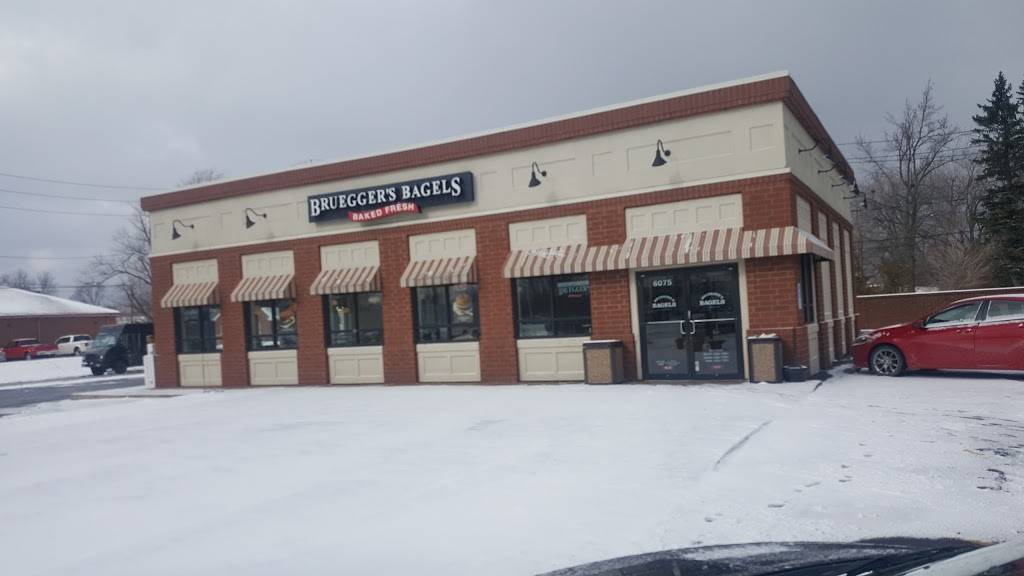 Brueggers Bagels | bakery | 6075 Mayfield Rd, Mayfield Heights, OH 44124, USA | 4404731976 OR +1 440-473-1976