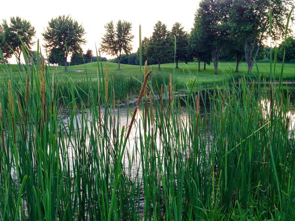 Southern Hills Golf Course | restaurant | 18950 Chippendale Ave, Farmington, MN 55024, USA | 6514634653 OR +1 651-463-4653