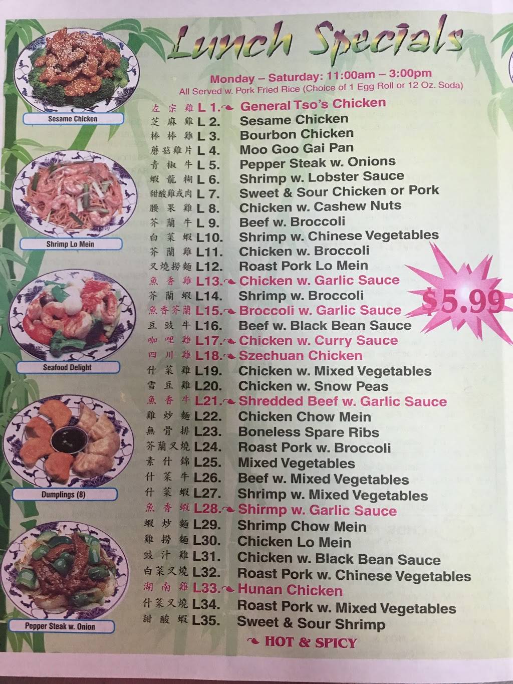 Hong Kong Restaurants | restaurant | 2229 W C 48, Bushnell, FL 33513, USA | 3525688888 OR +1 352-568-8888