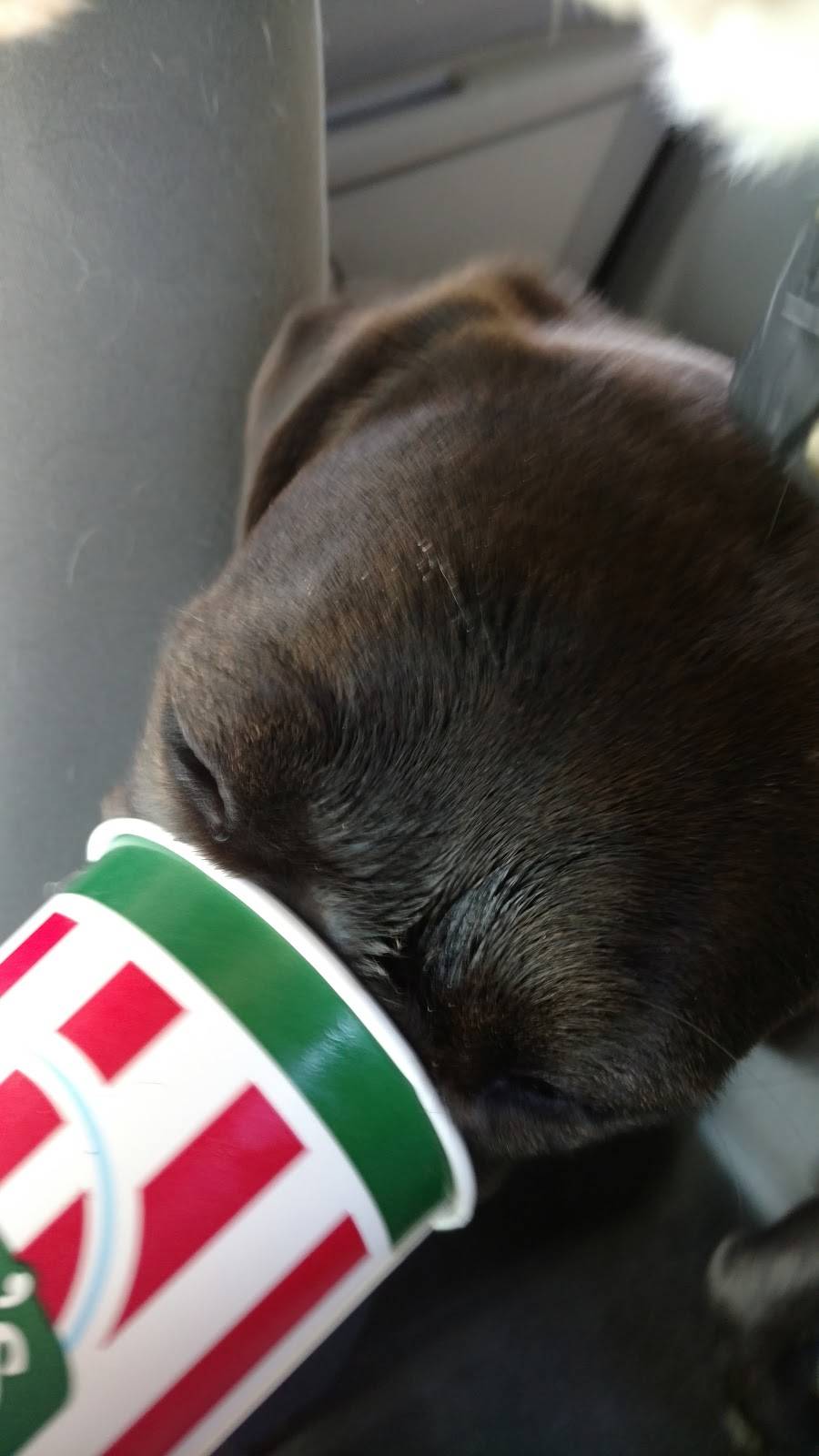 Ritas Italian Ice & Frozen Custard | restaurant | 277 PA-61, Schuylkill Haven, PA 17972, USA | 5703859000 OR +1 570-385-9000