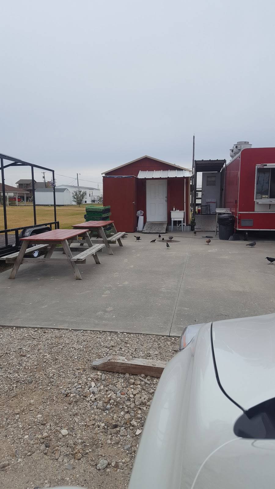 Tammies Diner | restaurant | 5405 Gulfway South Drive, Sabine Pass, TX 77655, USA | 4099712573 OR +1 409-971-2573