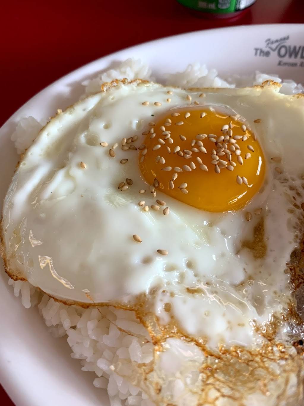 The Famous Owl of Minerva | restaurant | 129 Pedersen Dr Unit 4 & 5, Aurora, ON L4G 6V5, Canada | 9055037275 OR +1 905-503-7275