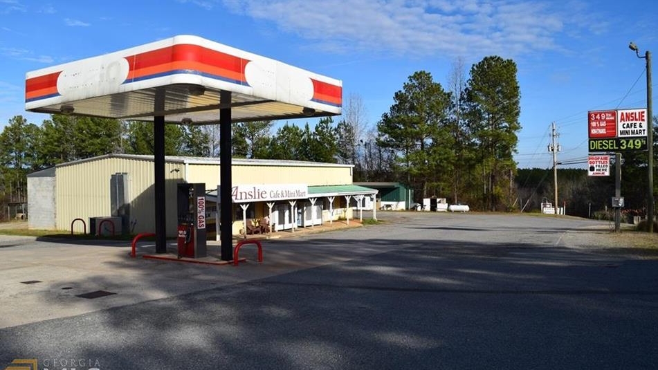 Anslie Cafe & Mini Mart | meal takeaway | 3950 Lake Sinclair Dr, Sparta, GA 31087, USA | 7064445855 OR +1 706-444-5855