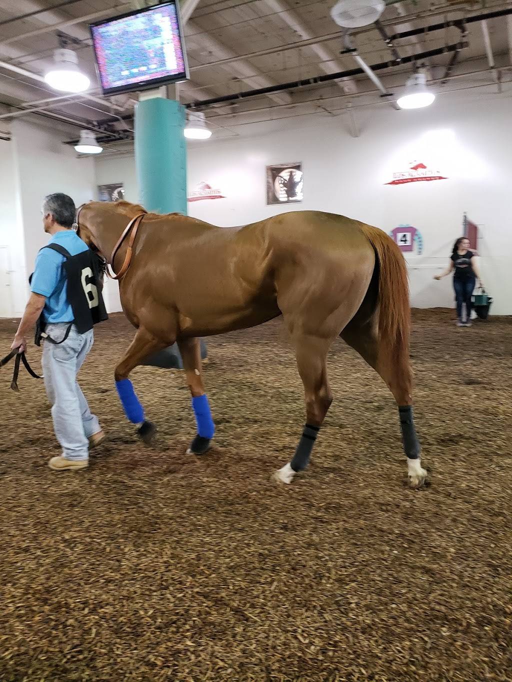 Los Alamitos Race Course | restaurant | 4961 Katella Ave, Cypress, CA 90720, USA | 7148202800 OR +1 714-820-2800