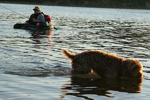 East Lake Resort | restaurant | 22430 N Paulina Lake Rd, La Pine, OR 97739, USA | 5415362230 OR +1 541-536-2230