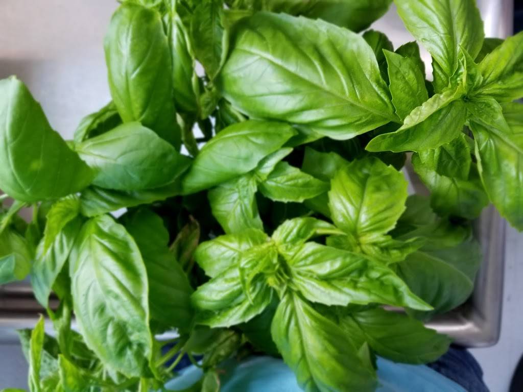 Yellow Sun Brewing Co | meal takeaway | 127 Trade St, Rutherfordton, NC 28139, USA | 8283750089 OR +1 828-375-0089