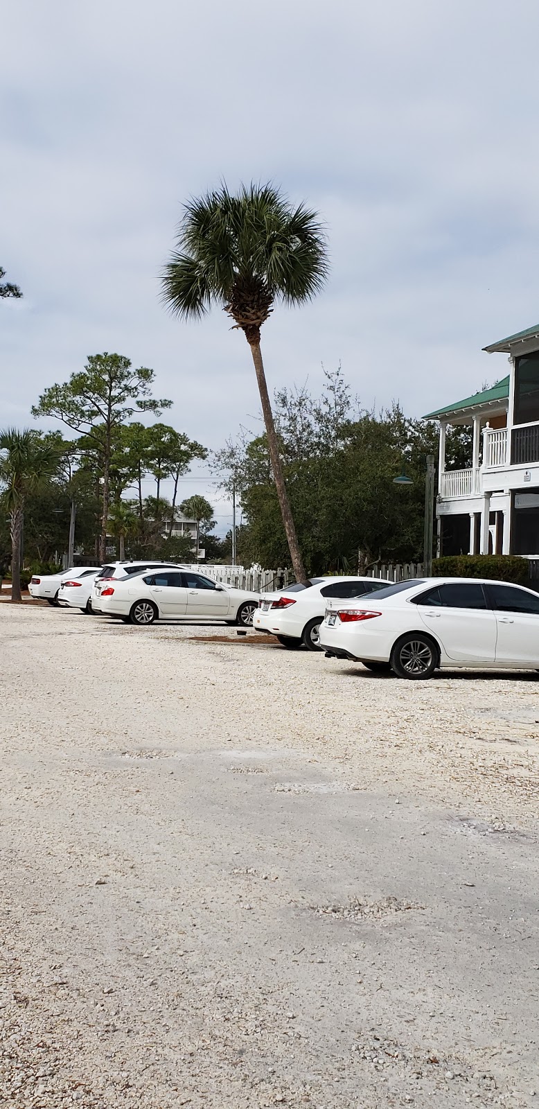 Purple Parrot Tiki Bar & 3 Palms Bistro | restaurant | 13555 Perdido Key Dr #1, Pensacola, FL 32507, USA | 8504663805 OR +1 850-466-3805