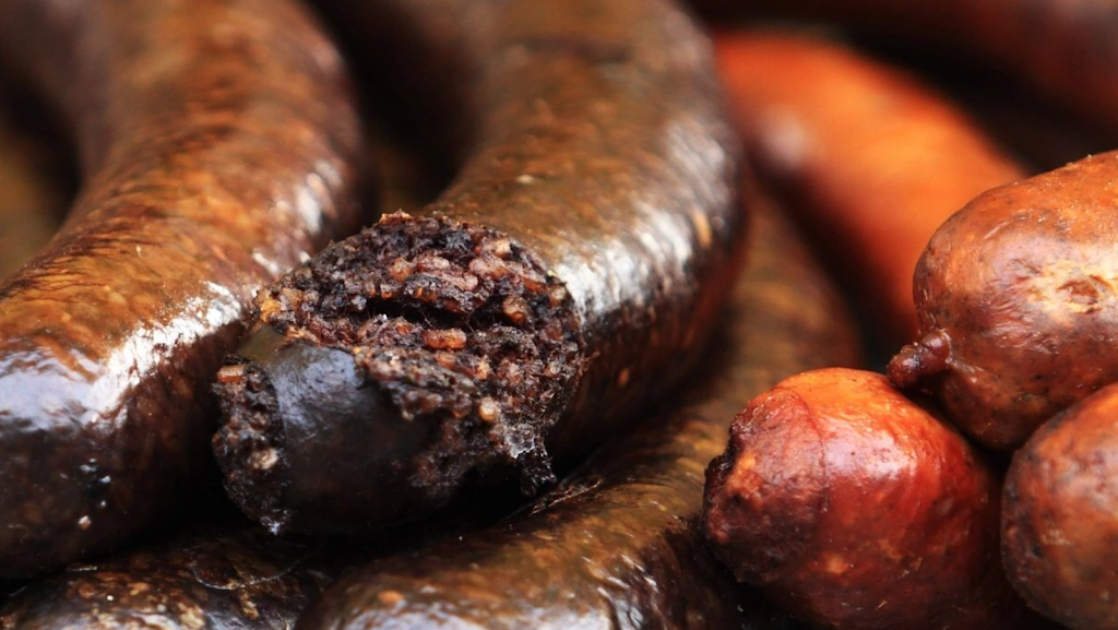 Hotdog Burger Cheese | restaurant | 2018 Glenwood Shopping Plaza, Oneida, NY 13421, USA | 3159970820 OR +1 315-997-0820