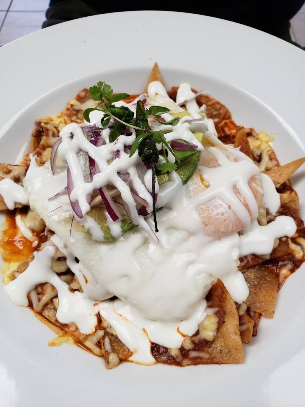 OSHO RESTAURANTE | restaurant | Rosarito - Ensenada, Zona Playitas, 22870 Ensenada, B.C., Mexico | 016461745415 OR +52 646 174 5415