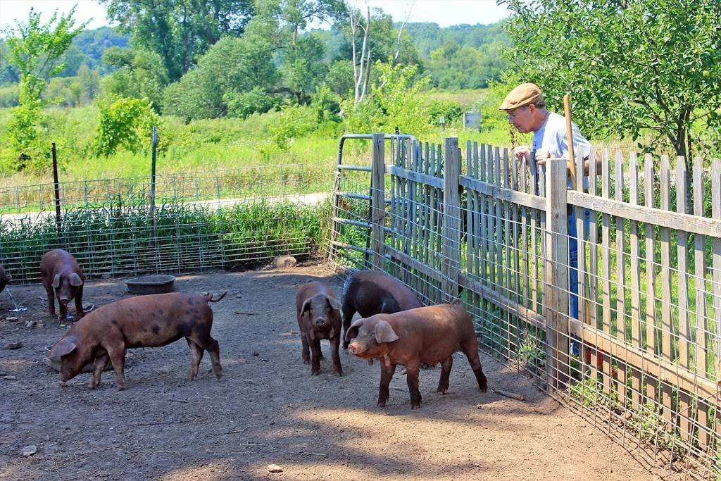 Double B Farm Country Store & Café | restaurant | 2777 S Brostuen Rd, Beloit, WI 53511, USA | 6089210293 OR +1 608-921-0293
