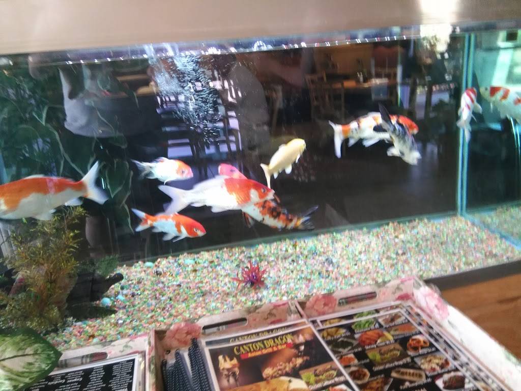Canton Dragon | restaurant | 10190 N 90th St #101, Scottsdale, AZ 85258, USA | 4804518866 OR +1 480-451-8866