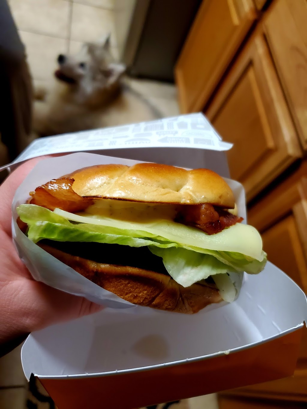 Jack in the Box | restaurant | 2910 Main St, Susanville, CA 96130, USA | 7753602600 OR +1 775-360-2600