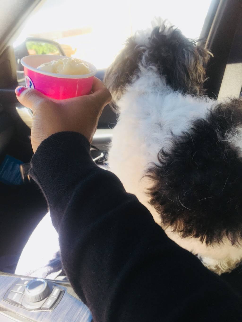 Dunkin Donuts | cafe | 2353 183rd St, Homewood, IL 60430, USA | 7089221818 OR +1 708-922-1818