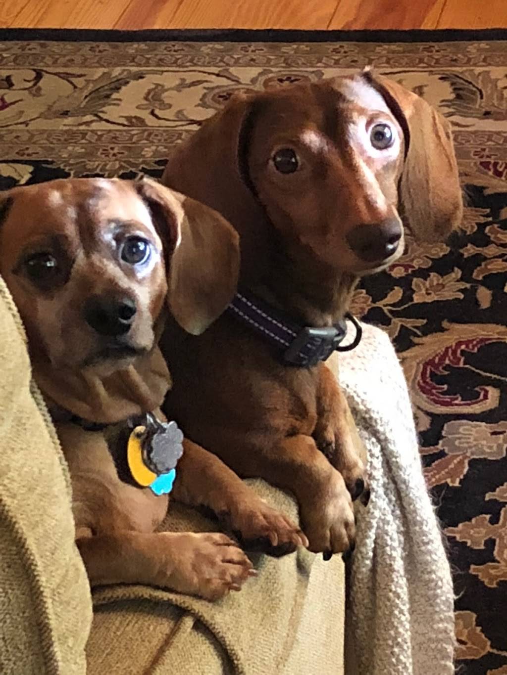 Barbaras Family Restaurant | restaurant | 514 US-41, Ruskin, FL 33570, USA | 8136417444 OR +1 813-641-7444