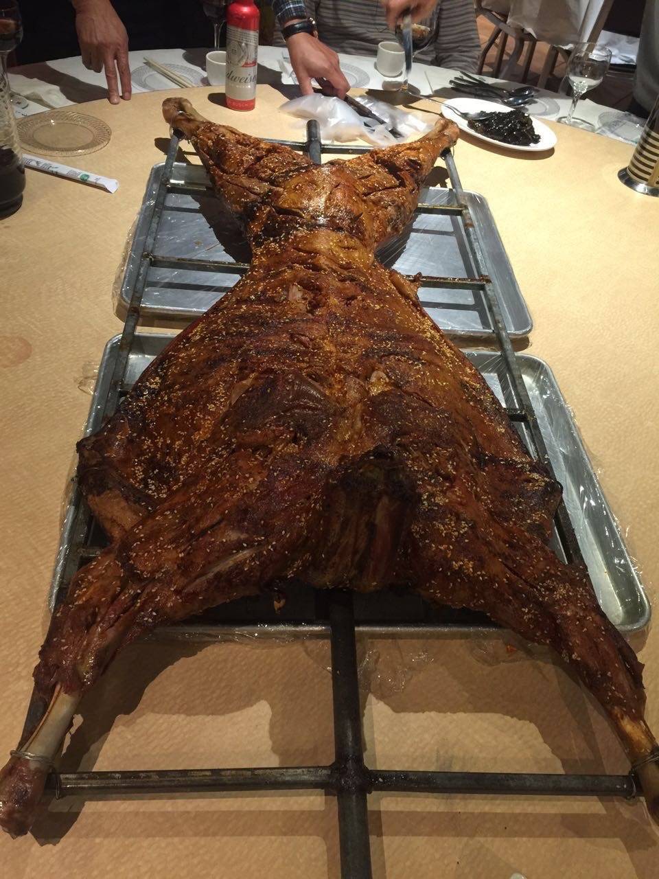 Dong Bei Restaurant | restaurant | 8400 Bellaire Blvd, Houston, TX 77036, USA | 7137509222 OR +1 713-750-9222