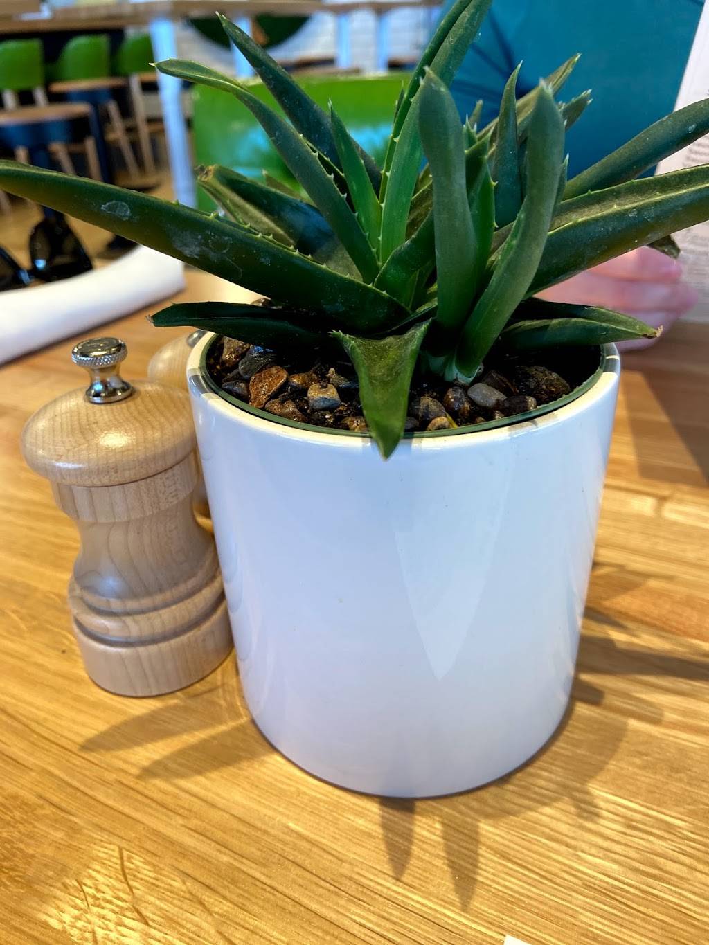 True Food Kitchen | restaurant | 105 Oakbrook Center, Oak Brook, IL 60523, USA | 6307163056 OR +1 630-716-3056