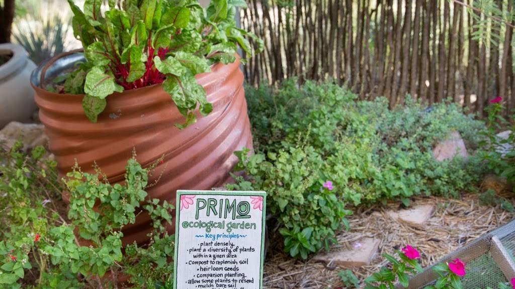 Primo with Patio Dining | restaurant | 3800 W Starr Pass Blvd, Tucson, AZ 85745, USA | 5207916071 OR +1 520-791-6071