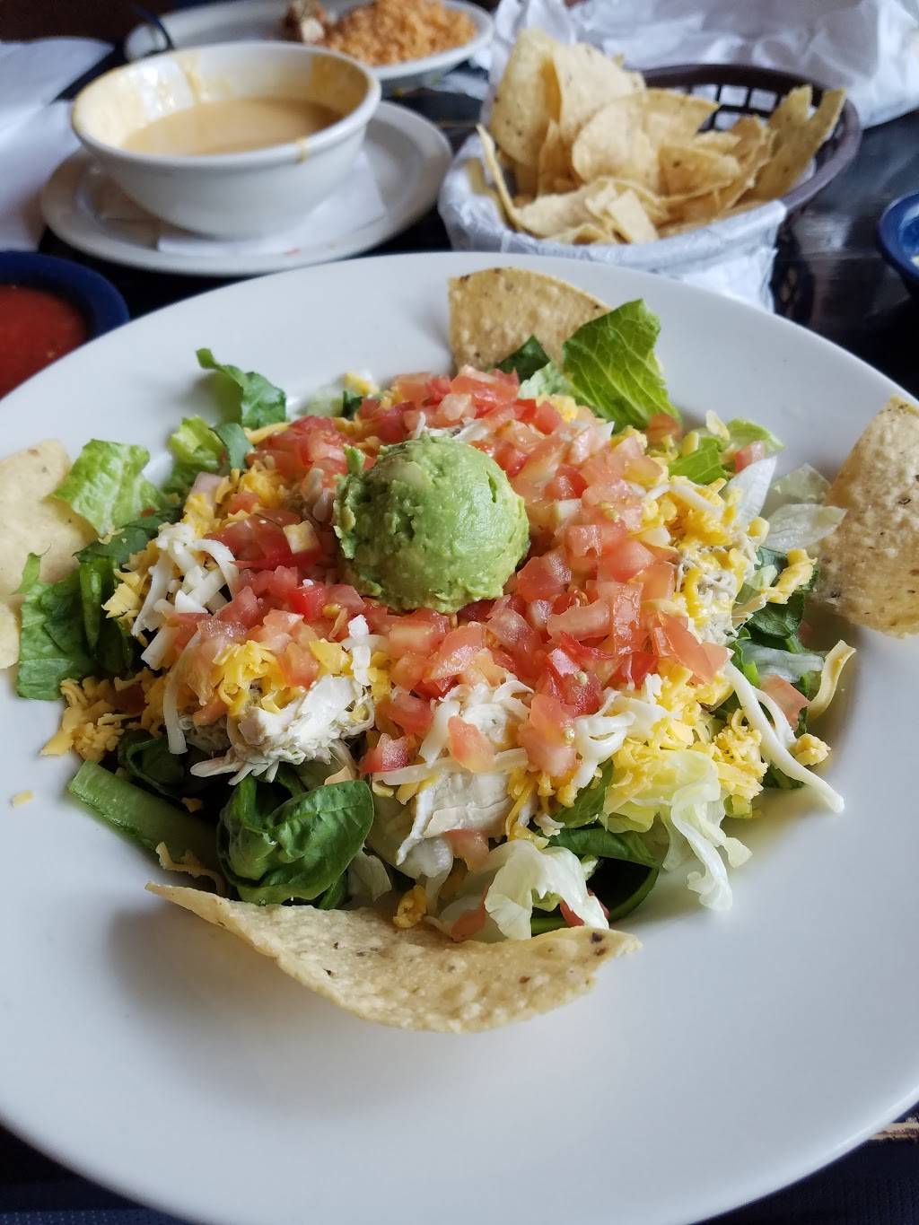 Alamo Cafe | restaurant | 14250 San Pedro Ave, San Antonio, TX 78232, USA | 2104952233 OR +1 210-495-2233