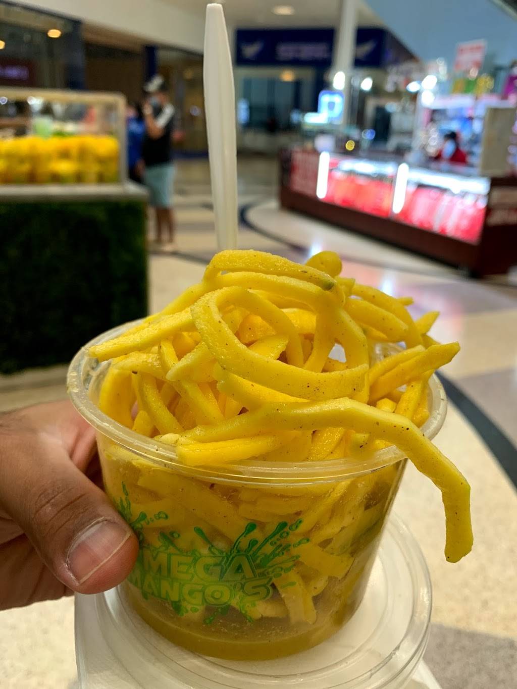 Mega Mangos | restaurant | 7500 Bellaire Blvd, Houston, TX 77036, USA | 8324235842 OR +1 832-423-5842