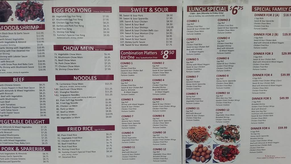 Yummy Chow Chinese Restaurant | restaurant | 162 Main Street of Delhi, Delhi, ON N4B 2L9, Canada | 5195823938 OR +1 519-582-3938