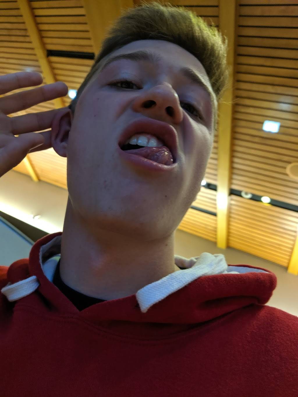 Four Lakes Market | restaurant | Willow Dr, Madison, WI 53706, USA | 6082622225 OR +1 608-262-2225