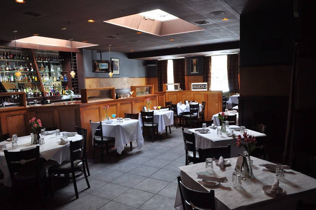 Cecelias Ristorante & Martini Bar | restaurant | 716 Elmwood Ave, Buffalo, NY 14222, USA | 7168838066 OR +1 716-883-8066