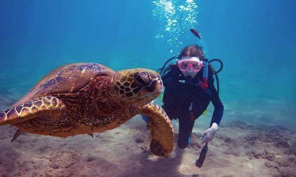 Agnello Travel | restaurant | 240 Lincoln Ave, Hawthorne, NJ 07506, USA | 9734272028 OR +1 973-427-2028