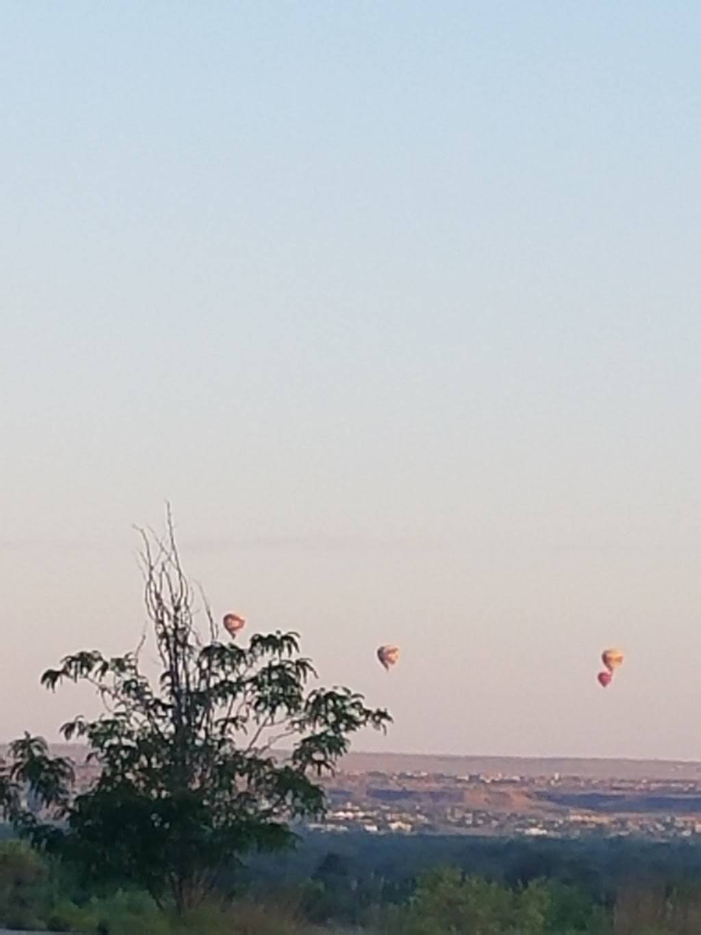 Little Caesars Pizza | meal takeaway | 101 98th St NW, Albuquerque, NM 87121, USA | 5058397993 OR +1 505-839-7993