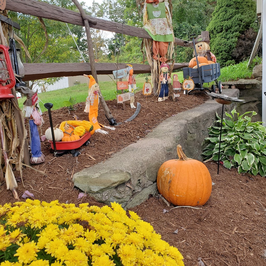 Brewed Awakening Llc | restaurant | 19 Killingworth Rd, Higganum, CT 06441, USA | 8603459500 OR +1 860-345-9500