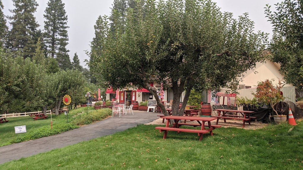 Bodhaines at Drew Bean Farms | bakery | 2315 Cable Rd, Camino, CA 95709, USA | 5306441686 OR +1 530-644-1686