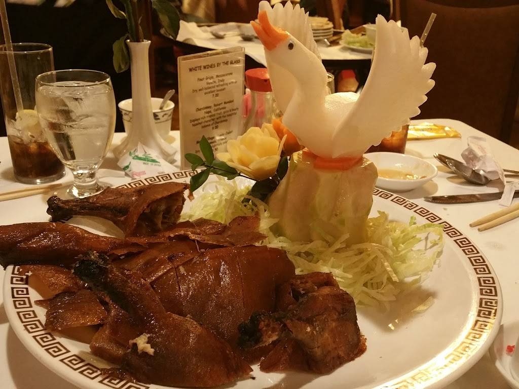 Orchid | restaurant | 730 Franklin Ave, Garden City, NY 11530, USA | 5167421116 OR +1 516-742-1116