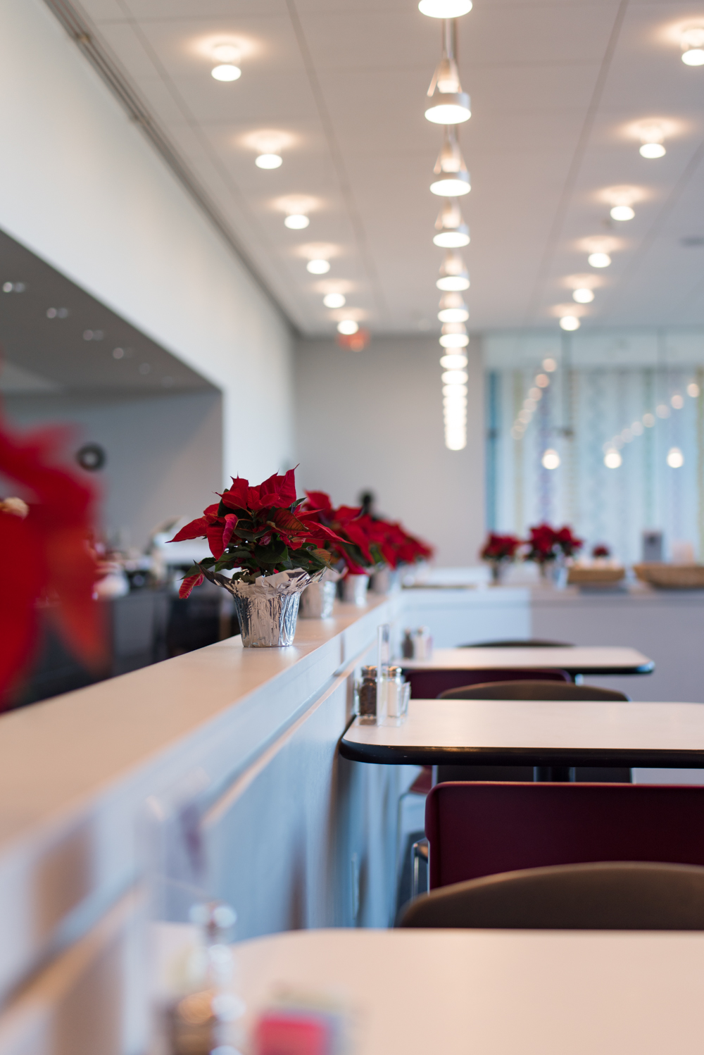 The Muse | restaurant | 1400 Museum Blvd, Wichita, KS 67203, USA | 3162684973 OR +1 316-268-4973